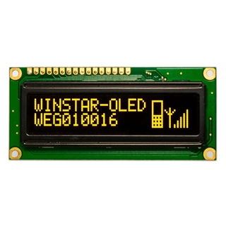 Picture of WEG10016L#AP5N00100-FC