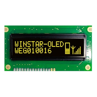 Picture of WEG10016L#EP3N00100-FC