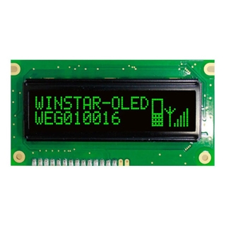 Picture of WEG10016G#EP5N00100-FC