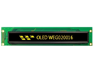 Picture of WEG20016L#AP5N00100-FC