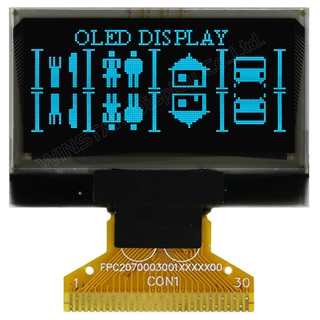 Picture of WEO12864S#L01-FC