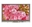 Picture of WF43-480272QD#D01-FC