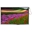 Picture of WF102-800480A16#001-FC