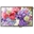 Immagine di WF102-800480PD#001-FC