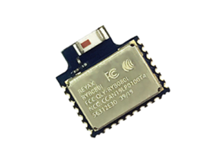 Picture of RYB080I