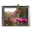 Picture of WF57-320240WPD#0F5B-FC