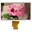 Immagine di WF70GTZAGDNNY#