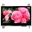 Picture of WF43QTIBEDBGD#