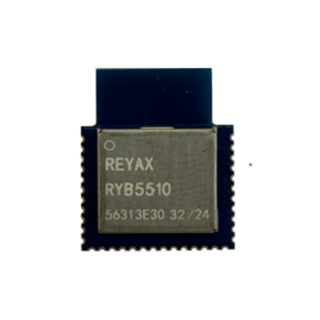 Picture of RYB5510