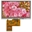 Picture of WF43-480272A3D#0SPW1-FC