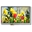 Picture of WF70-800480D3P#001-FC