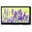 Immagine di WF70-800480D3P#003-FC